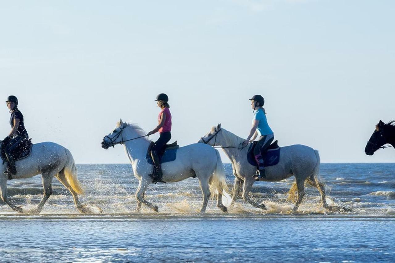 Charmant 2 Pieces A 500 M Des Plages Et Du Centre Cabourg Ngoại thất bức ảnh